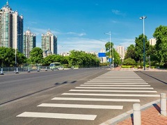 什么花在春節(jié)前后開(kāi)