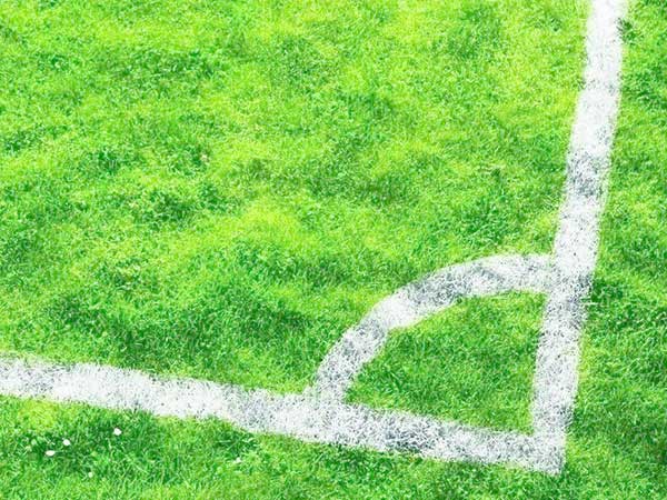 足球場天然草坪 足球場天然草坪