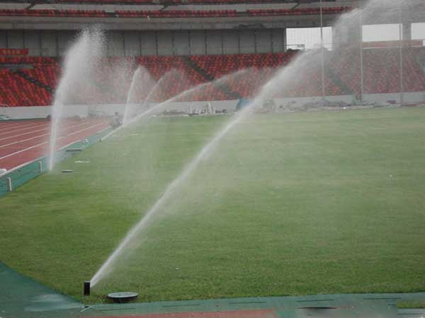 足球場天然草坪 足球場天然草坪