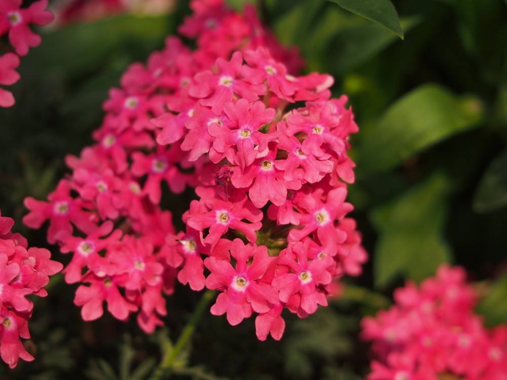 1578830267832856.jpg 1578830267832856.jpg