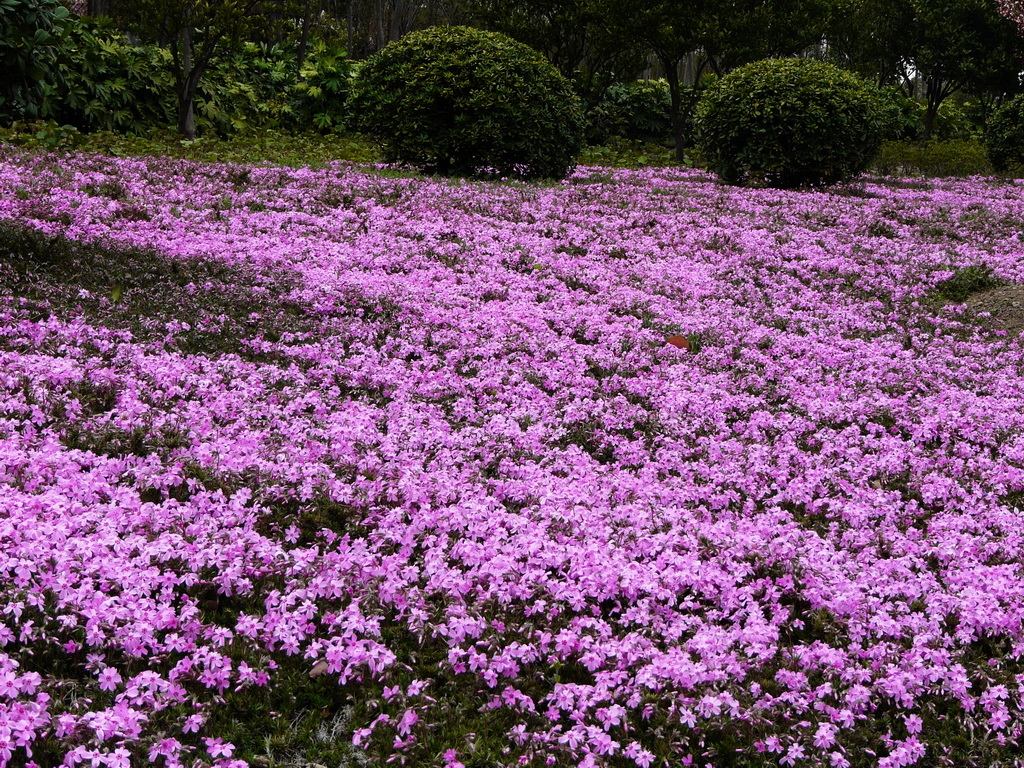 1578830507847374.jpg 1578830507847374.jpg