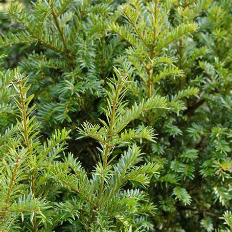 1648443966474410.jpg 1648443966474410.jpg