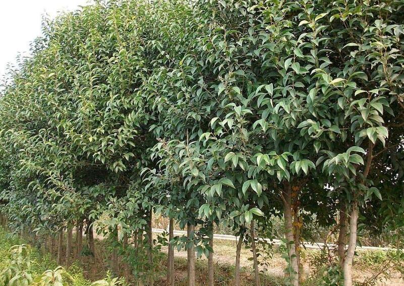 1648443966638501.jpg 1648443966638501.jpg