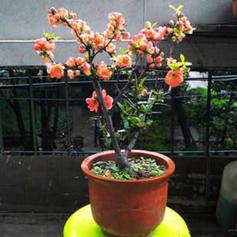 1648444920531062.jpg 1648444920531062.jpg