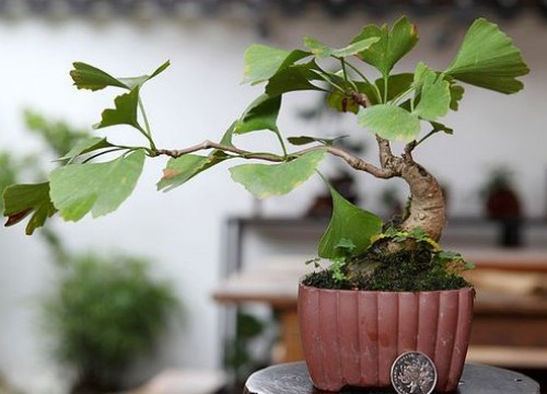 1648537916504536.jpg 1648537916504536.jpg