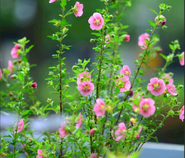 1649908088164905.jpg 1649908088164905.jpg