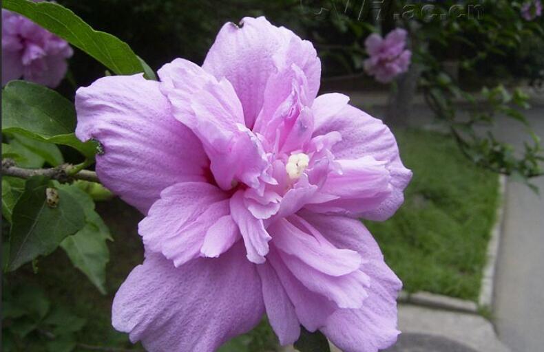 1650546524257601.jpg 1650546524257601.jpg