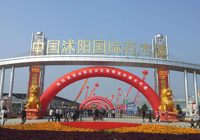 1578384159673689.jpg timg.jpg