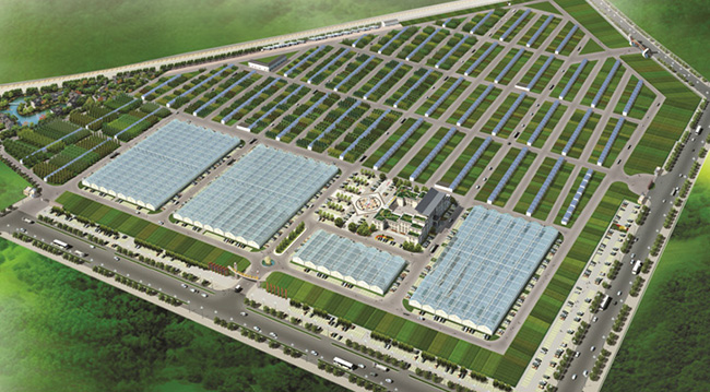 1578384168321374.jpg 111423521.jpg