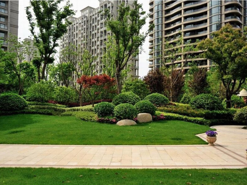 小區庭院住宅院子園林綠化苗木品種 小區庭院住宅院子園林綠化苗木品種