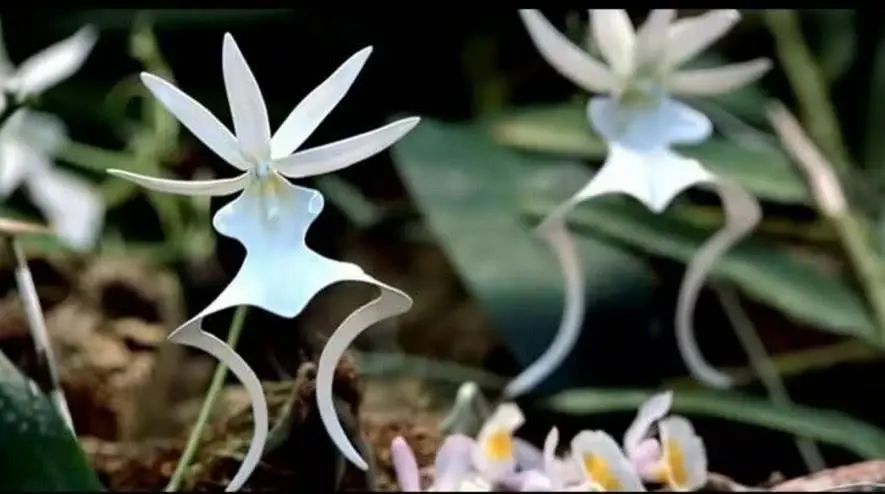 1672621850903638.jpg 微信圖片_20230102091024.jpg