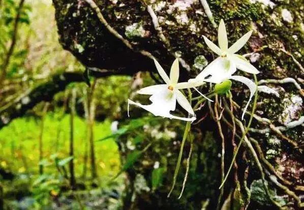 1672621867347151.jpg 微信圖片_20230102091031.jpg