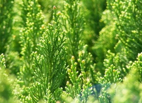 1673091738579184.jpg 微信圖片_20230107193620.jpg