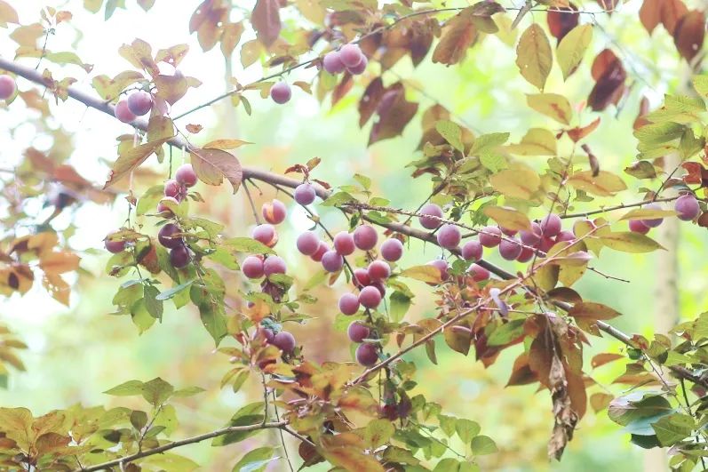 1673092251134191.jpg 微信圖片_20230107194913.jpg