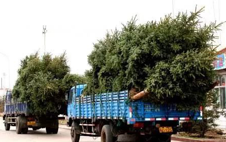 1673092566340271.jpg 微信圖片_20230107195432.jpg