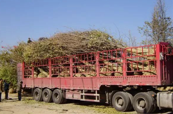 1673092584117983.jpg 微信圖片_20230107195507.jpg