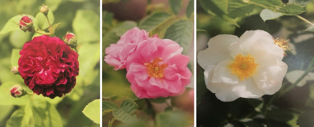 1673093016720784.png 微信圖片_20230107200220.png