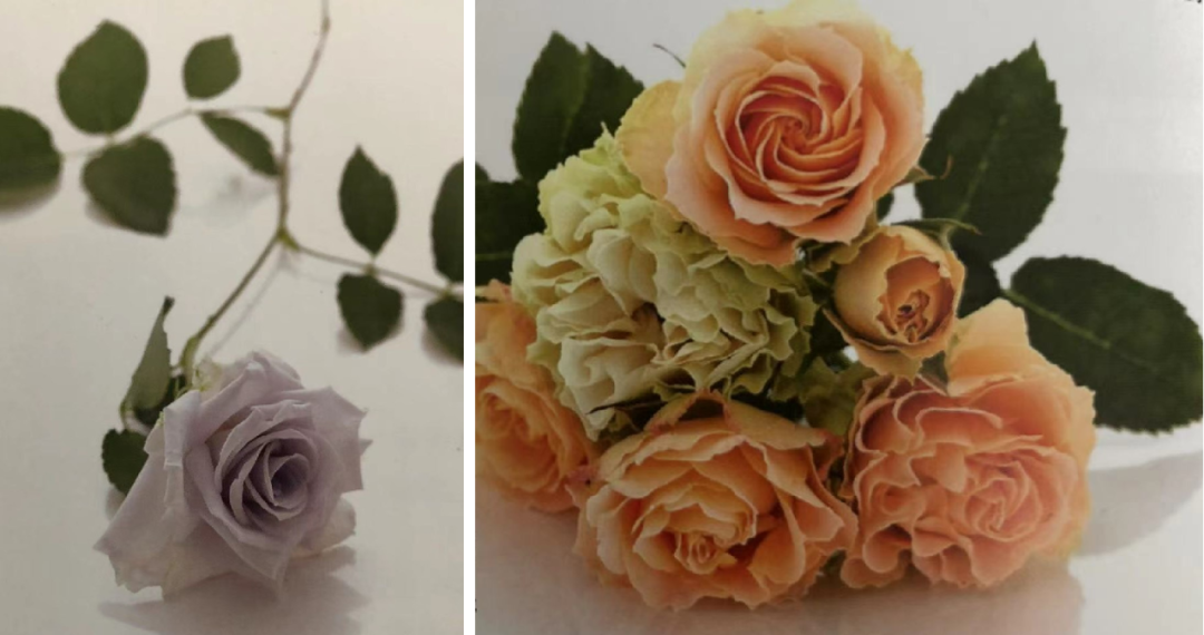 1673093034440801.png 微信圖片_20230107200309.png