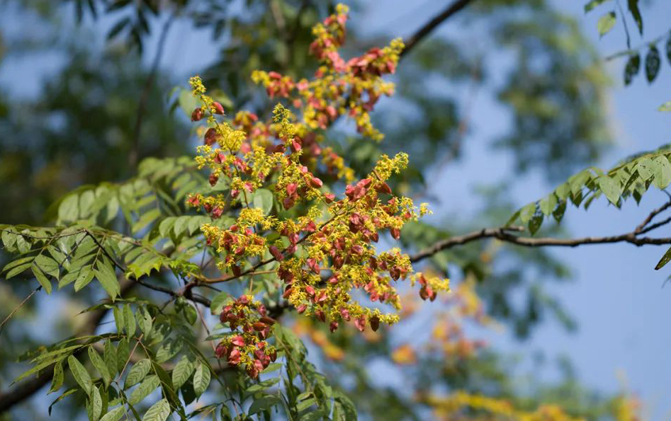 1673093237765483.jpg 微信圖片_20230107200538.jpg