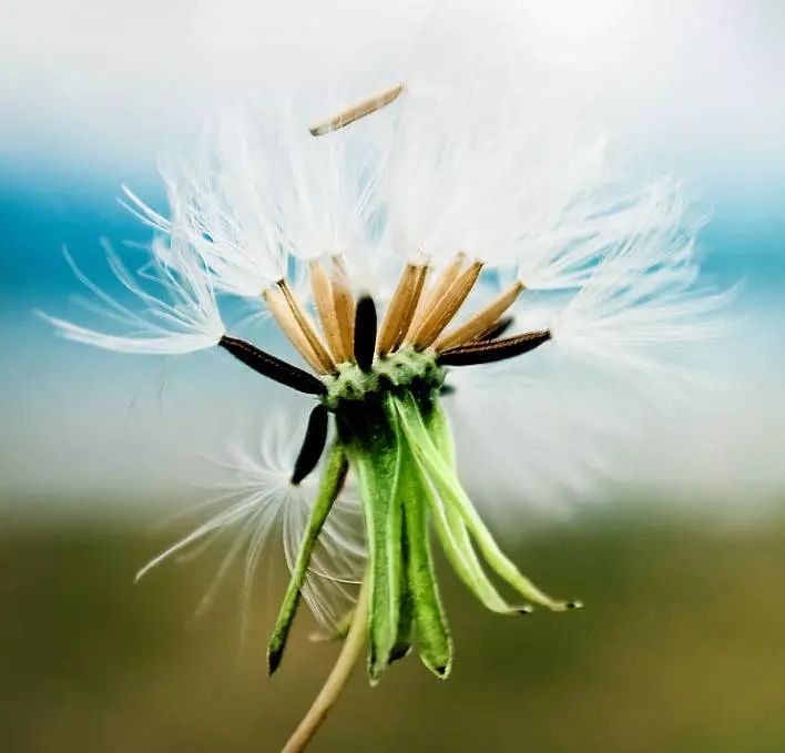 1673157564248517.jpg 微信圖片_20220818221924.jpg