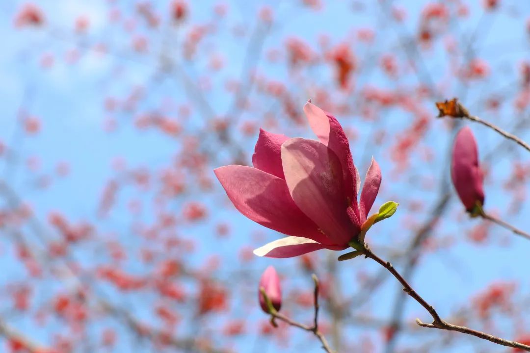 1673158197266965.jpg 微信圖片_20221125235203.jpg