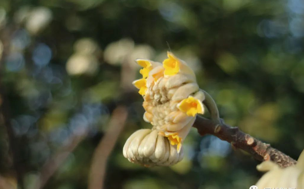 1673158522386774.jpg 微信圖片_20230108141352.jpg