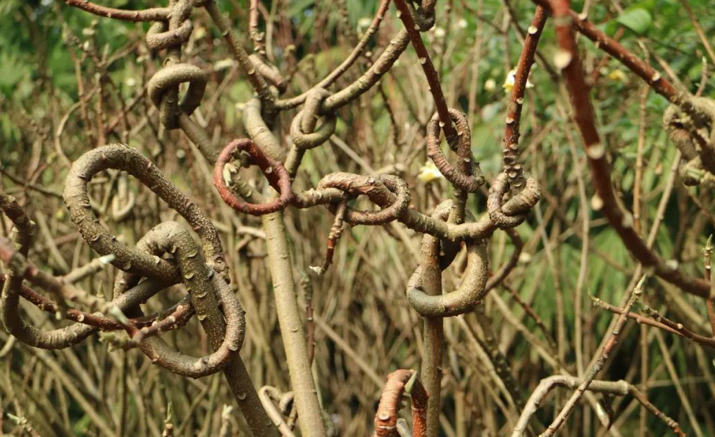 1673158530477604.jpg 微信圖片_20230108141359.jpg