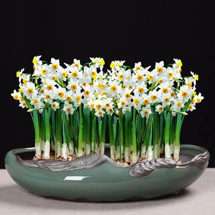 1673162432522209.jpg 微信圖片_20230108152019.jpg