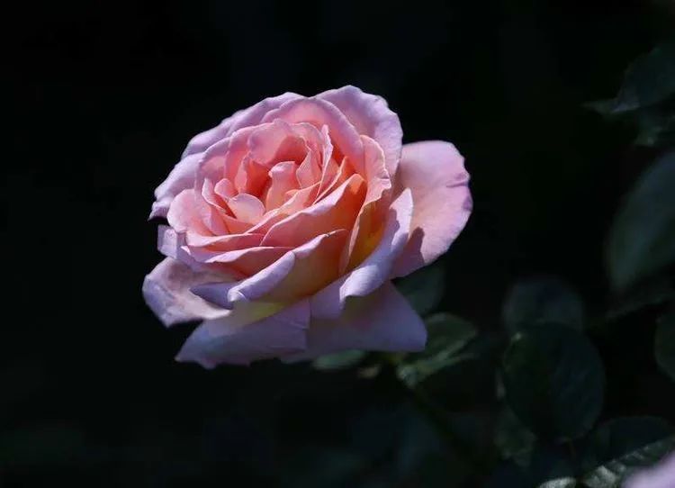 1673162535808011.jpg 微信圖片_20221126211632.jpg