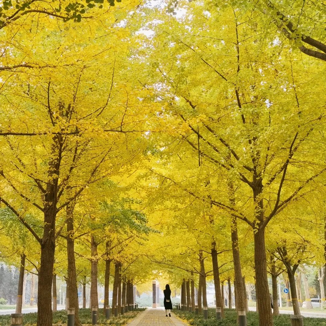 1673524573836456.jpg 微信圖片_20221126001420.jpg