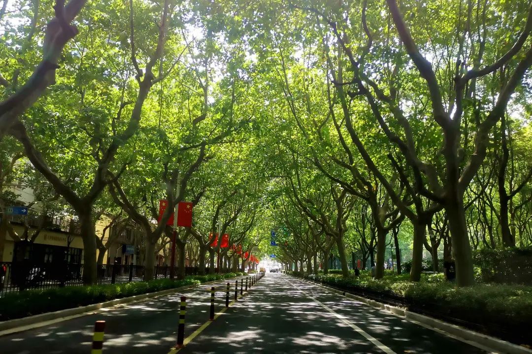 1673525812977464.jpg 微信圖片_20230112201546.jpg