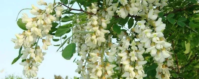 1673526167578503.jpg 微信圖片_20221025220229.jpg