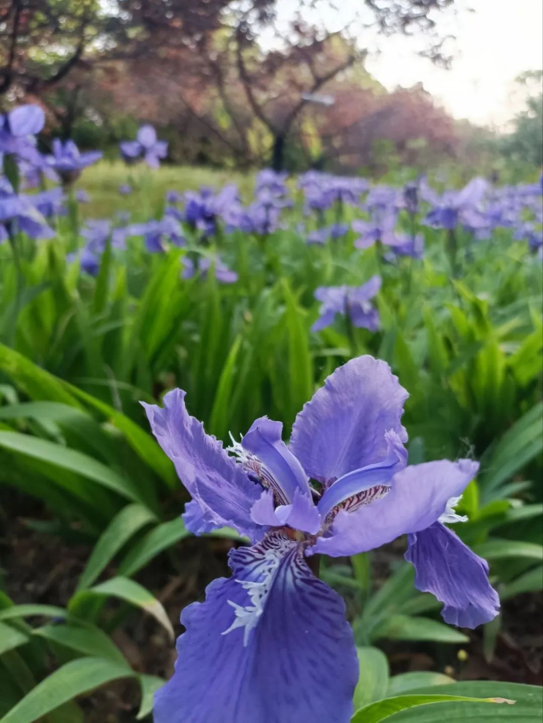 1673825339807991.jpg 微信圖片_20230116072809.jpg