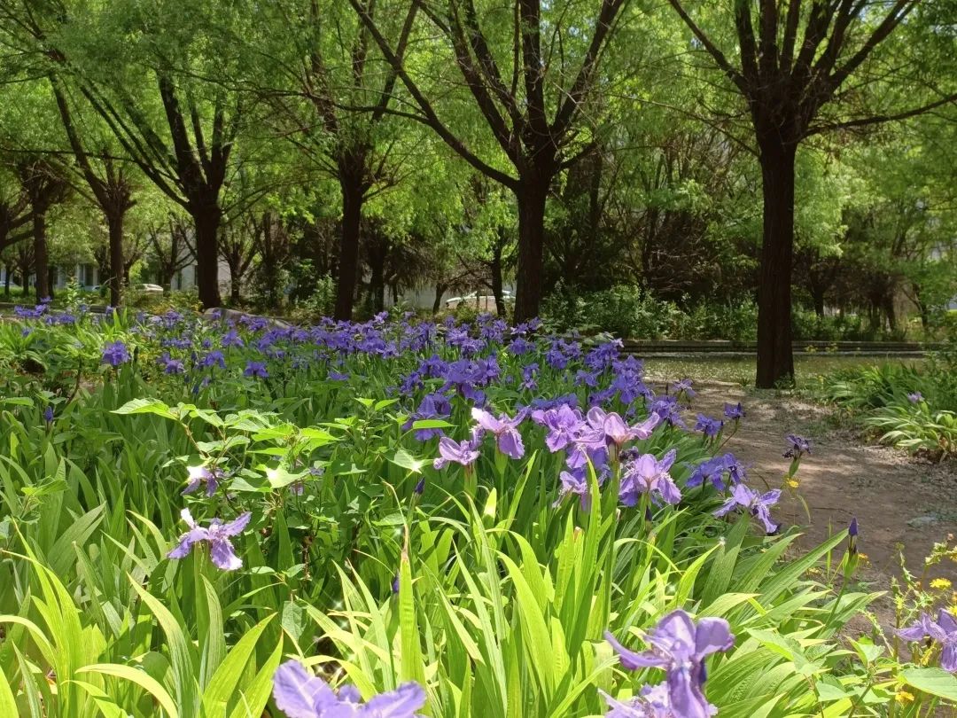 1673825353717164.jpg 微信圖片_20230116072829.jpg