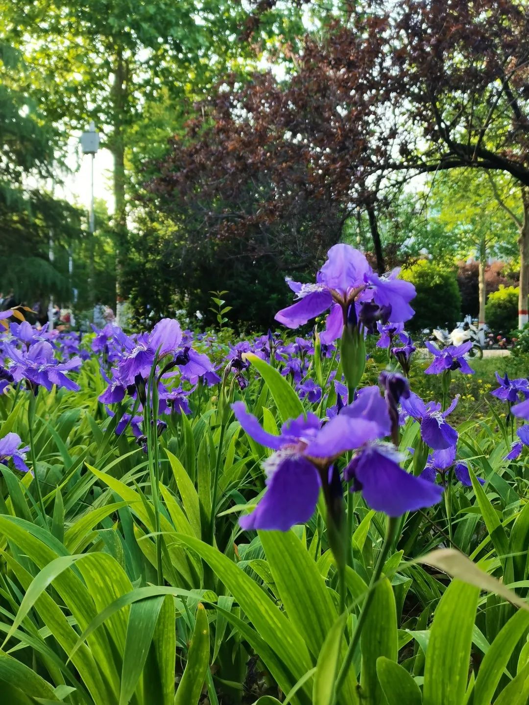 1673825361576905.jpg 微信圖片_20230116072831.jpg