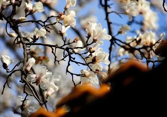 1674484849718515.jpg 微信圖片_20230112000104.jpg