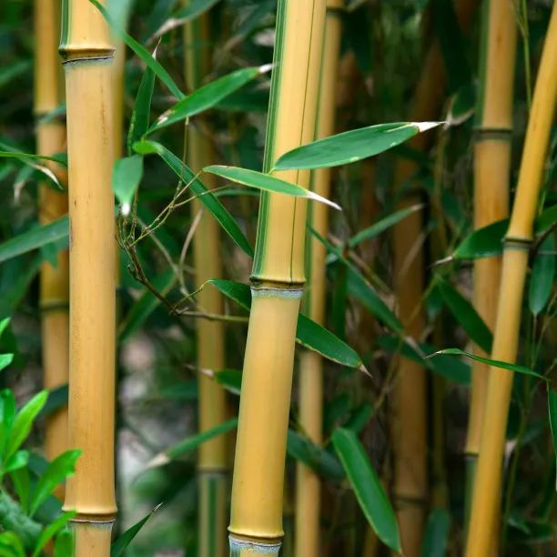 1675199956655613.jpg 微信圖片_20230201051748.jpg