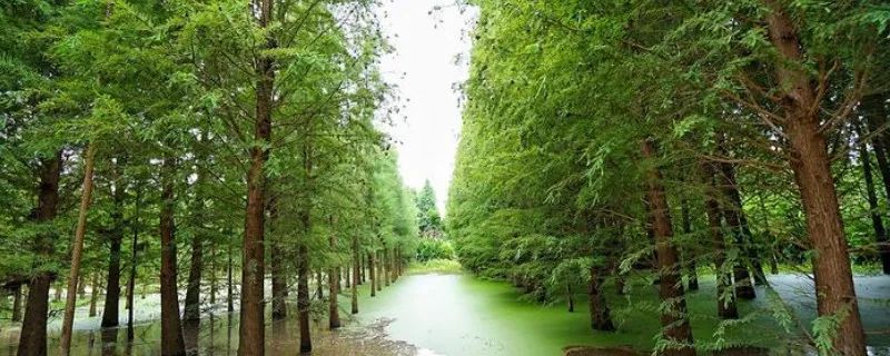 1675200168256279.jpg 微信圖片_20230201052030.jpg