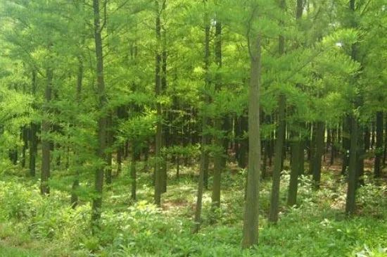 1675200184364200.jpg 微信圖片_20230201052041.jpg