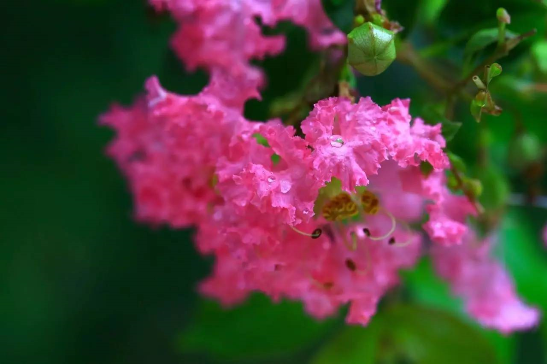 1675200266106259.png 微信圖片_20230112201812.png