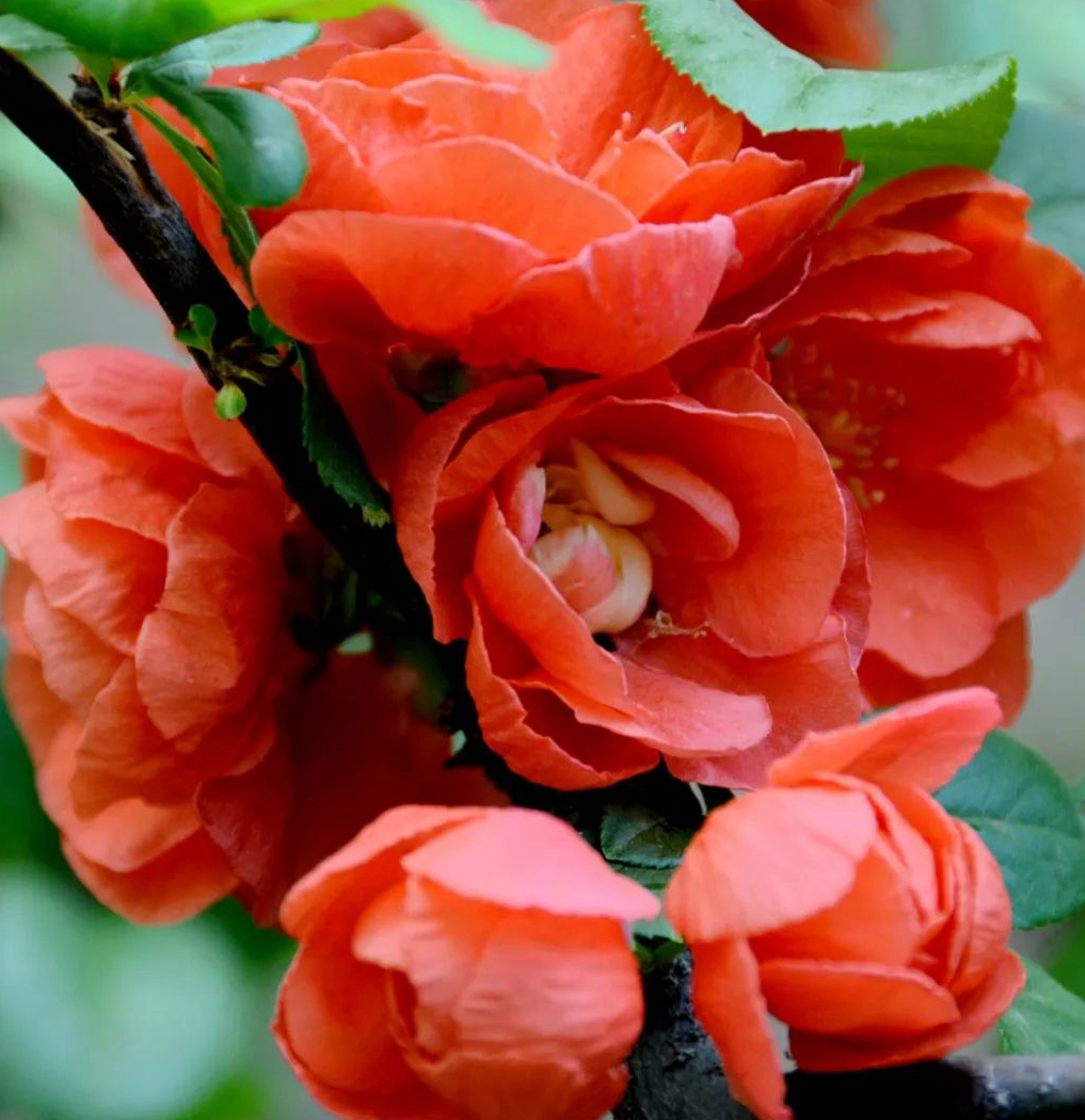 1675492172167790.jpg 微信圖片_20230204142726.jpg