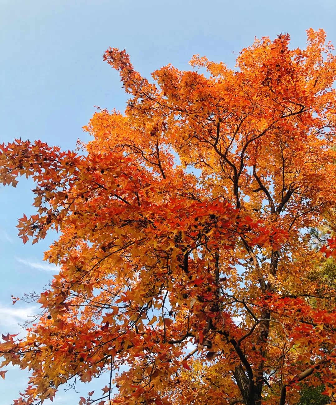 1675518760801510.png 微信圖片_20230107171458.png