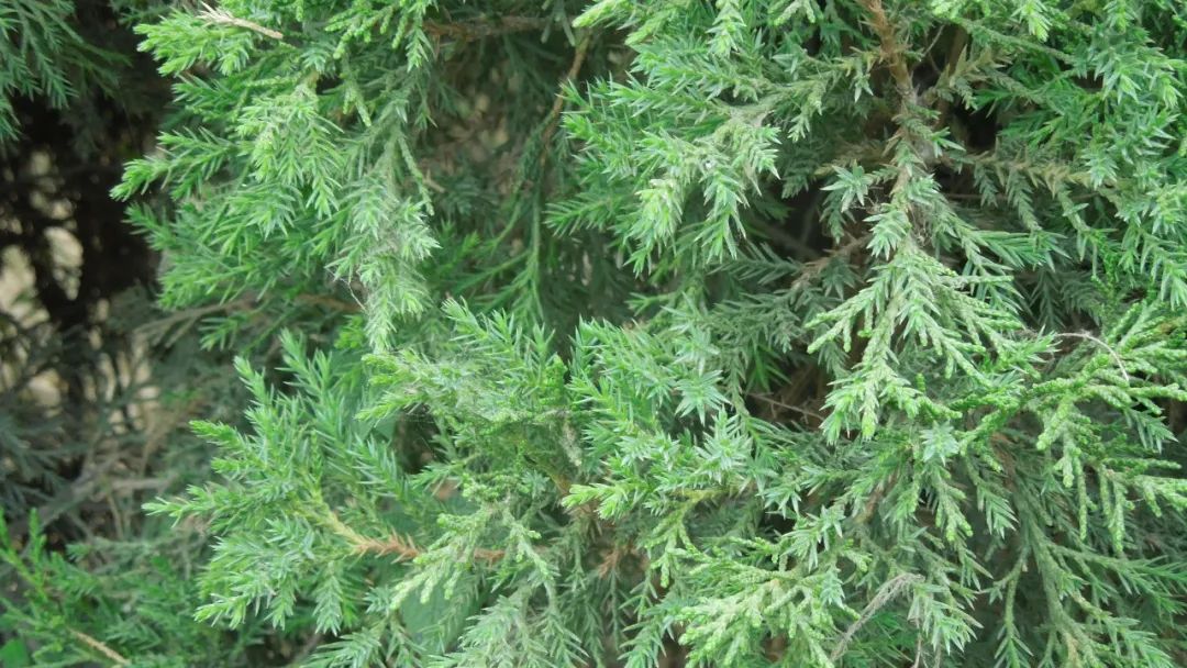 1675696905601258.jpg 微信圖片_20230112201957.jpg