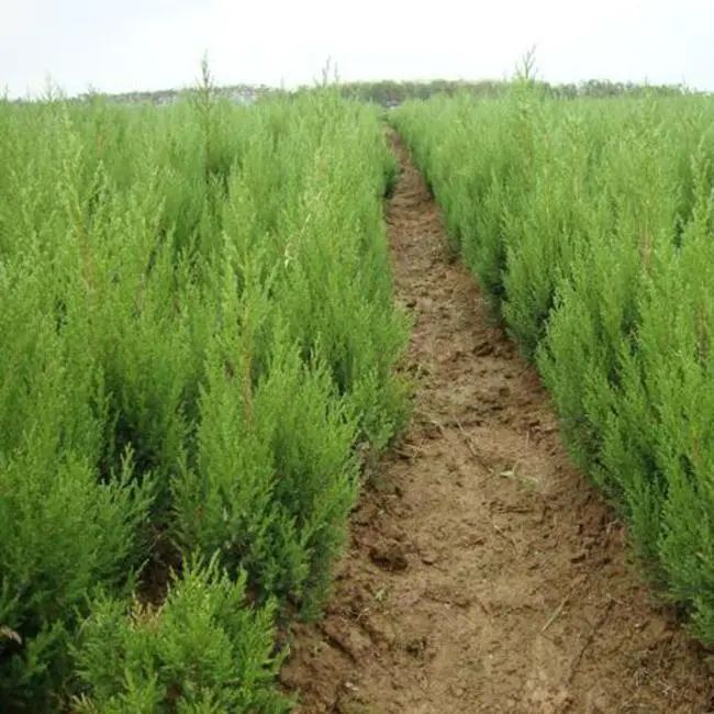 1675696926810780.jpg 微信圖片_20230112202014.jpg