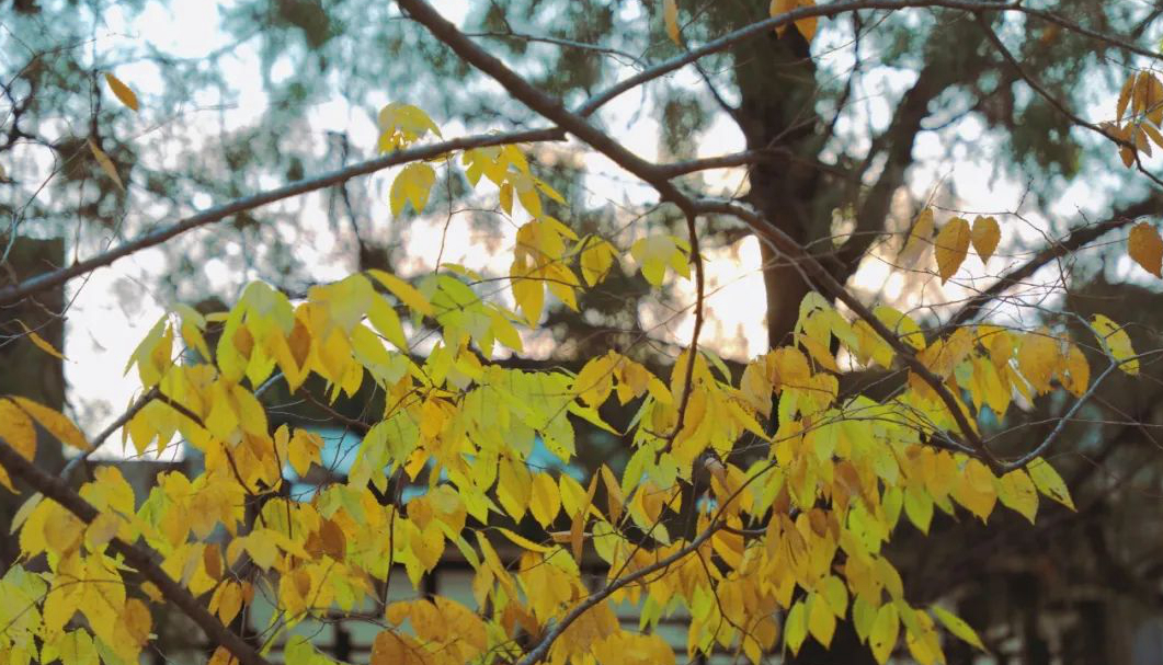 1676558374204292.jpg 微信圖片_20230115185213.jpg