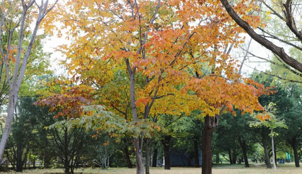 1676558383511137.jpg 微信圖片_20230115185225.jpg