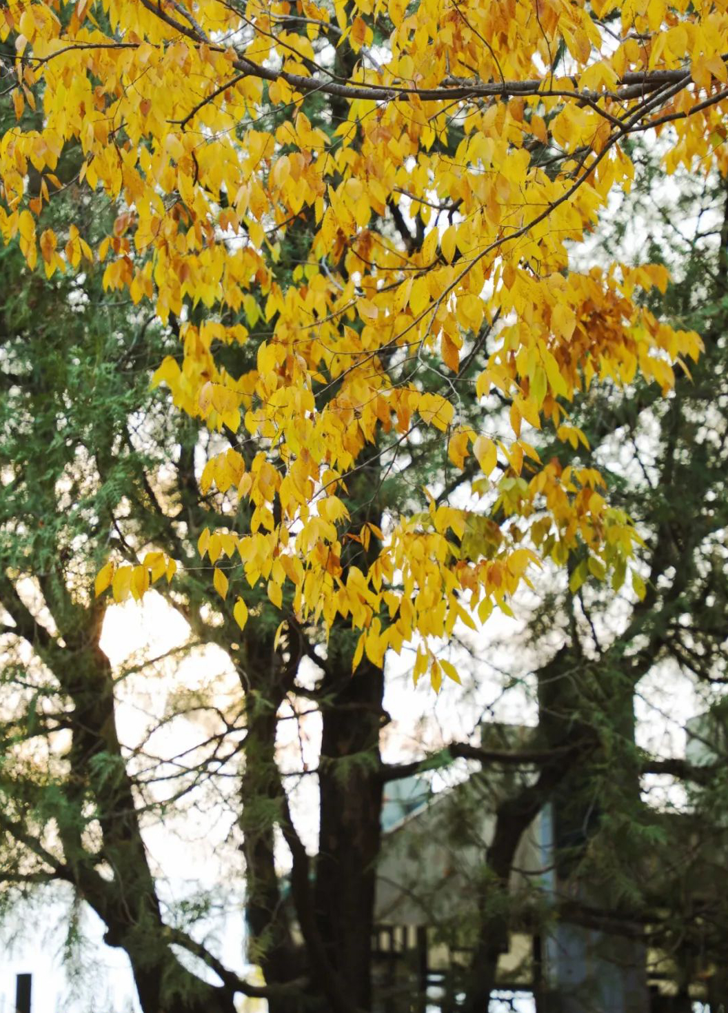 1676558399224196.jpg 微信圖片_20230115185236.jpg