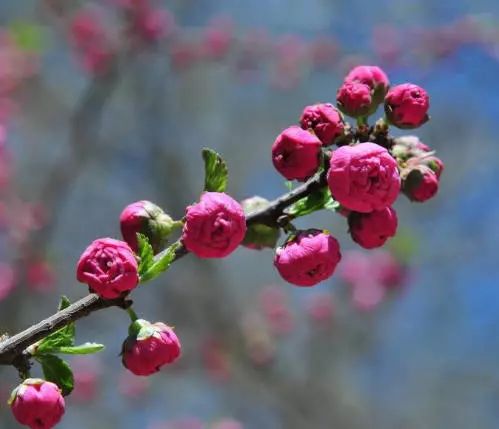 1676584298499382.jpg 微信圖片_20230207004554.jpg