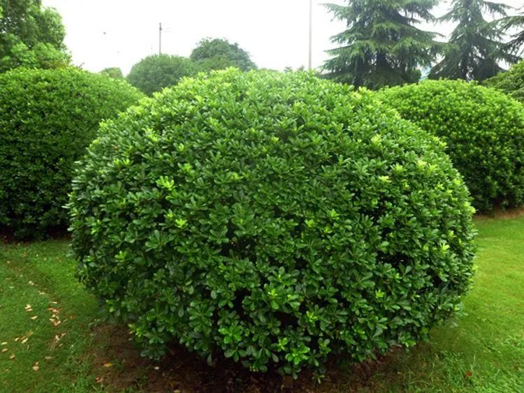 1676675376520438.jpg 微信圖片_20221028174327.jpg