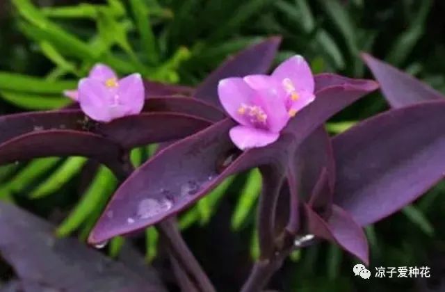 1676797722340667.jpg 微信圖片_20230219170644.jpg